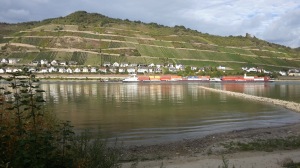 Boats on the Rhine